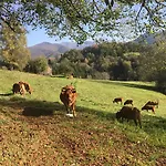 Lagrangeariege C Dom wakacyjny