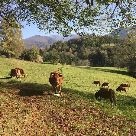Lagrange-ariege C Σπίτι διακοπών