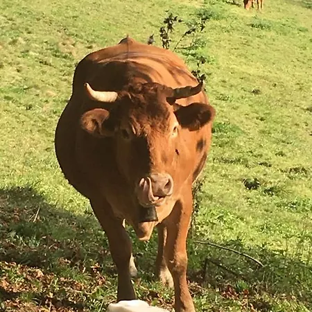 بيت للعطل La Grange *